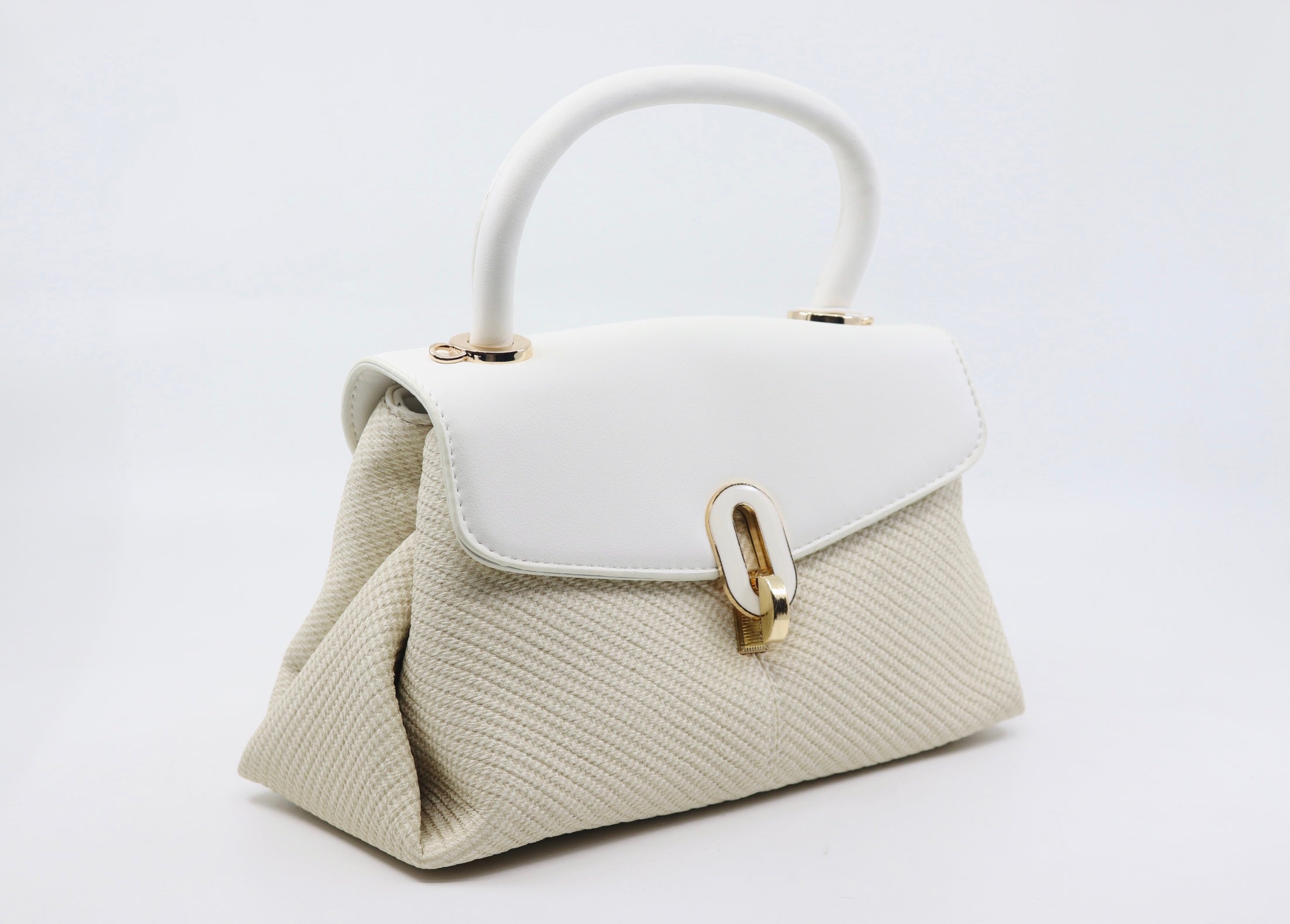 Trendy bag (SB79)