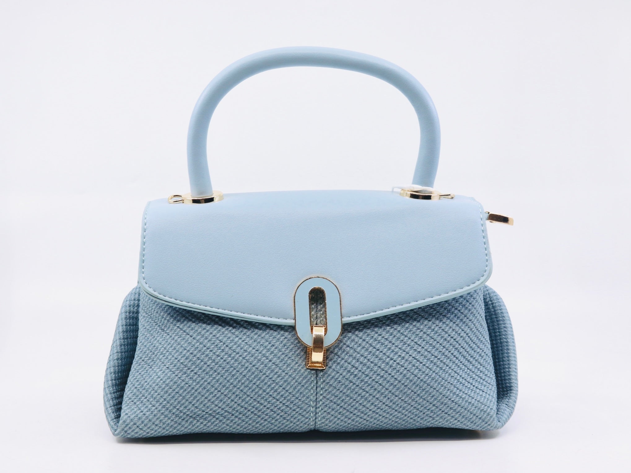 Trendy bag (SB79)