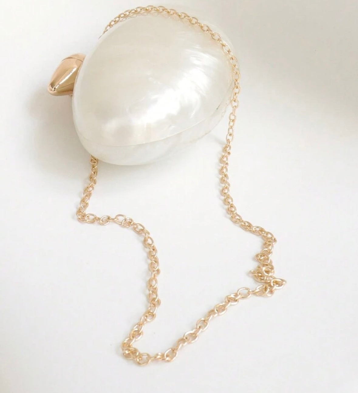 Acrylic clutch 
(SB217)