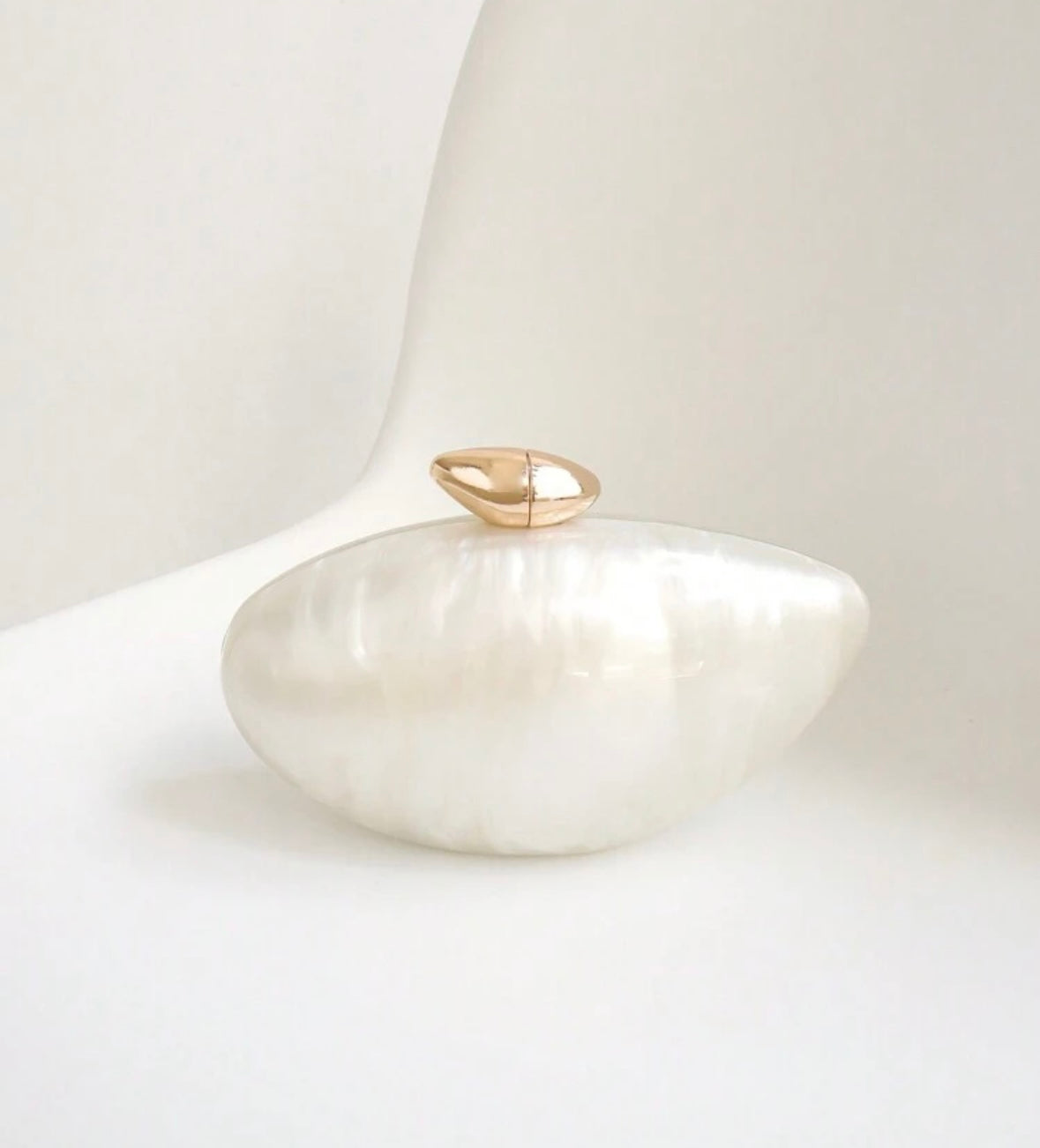Acrylic clutch 
(SB217)