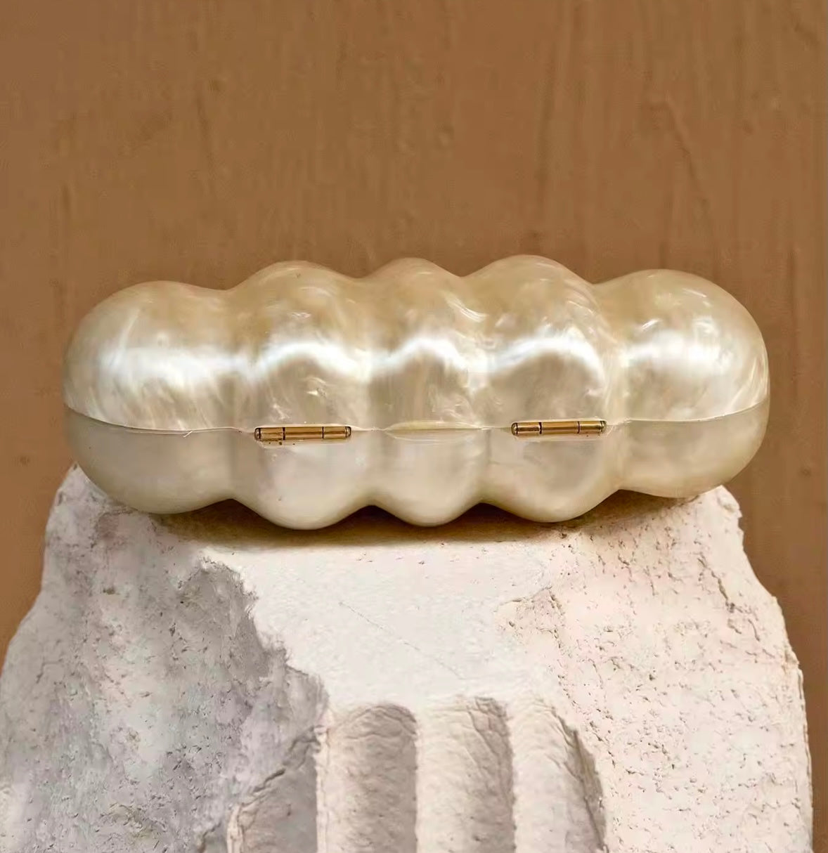 Acrylic clutch 
(SB221)