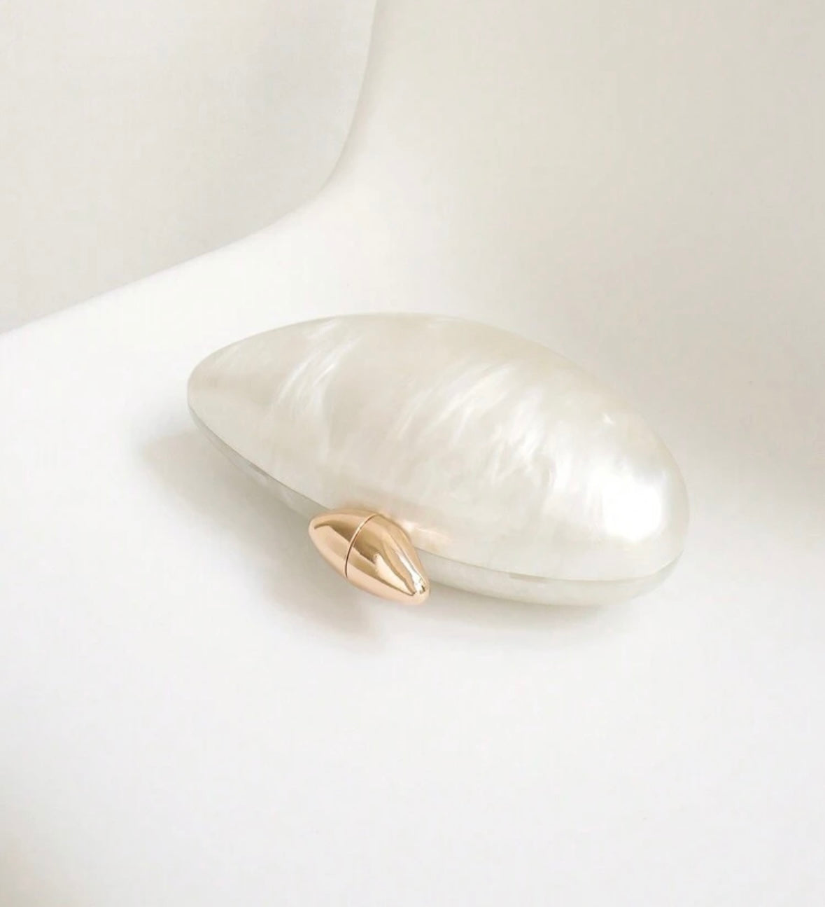 Acrylic clutch 
(SB217)